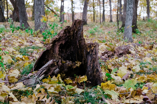2014.10.17 Ledges State Park