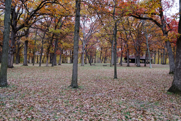2014.10.17 Ledges State Park