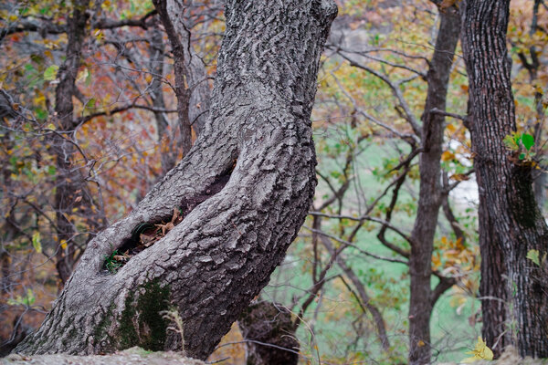2014.10.17 Ledges State Park