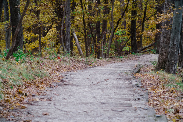 2014.10.17 Ledges State Park
