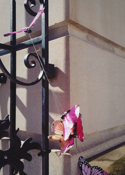 2014.10 Tagtober 2014