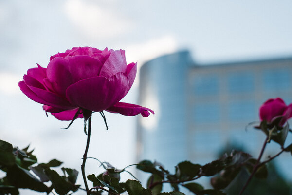 2014.10 Tagtober 2014