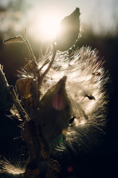 2014.10 Tagtober 2014