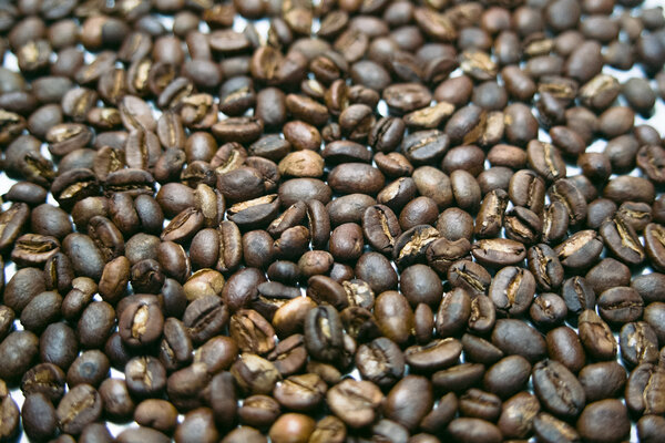 2014.10 Tagtober 2014