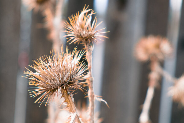 2014.10 Tagtober 2014