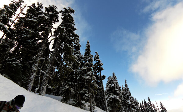 2015.02 Whistler Ski Trip