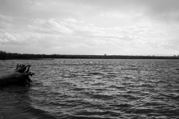 2015.04.20 Cherry Creek State Park