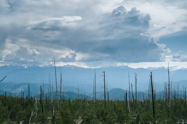 2015.05 Washington Camping