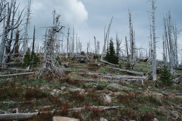 2015.05 Washington Camping