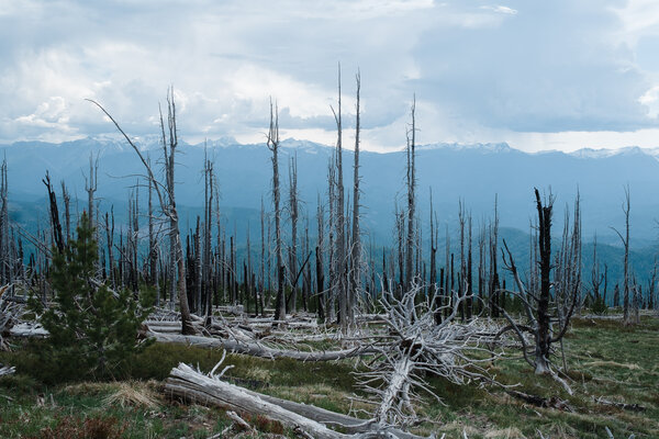 2015.05 Washington Camping