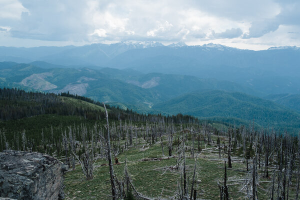 2015.05 Washington Camping