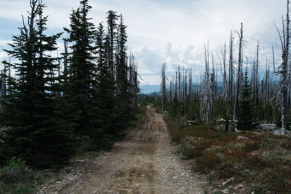 2015.05 Washington Camping