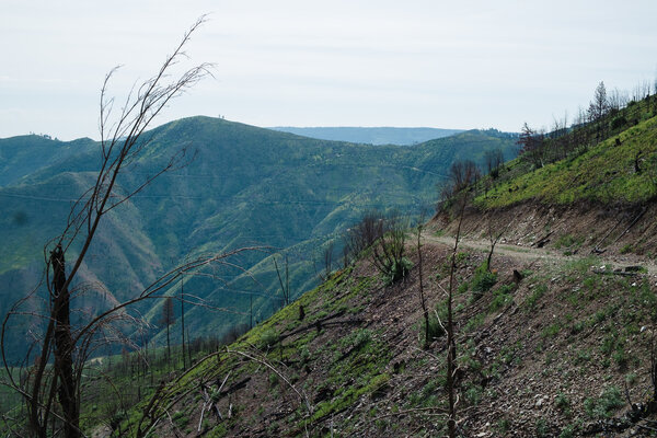 2015.05 Washington Camping