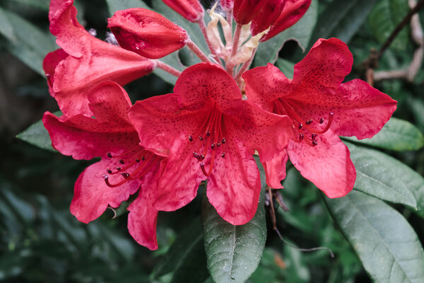 2015.05 Washington Camping