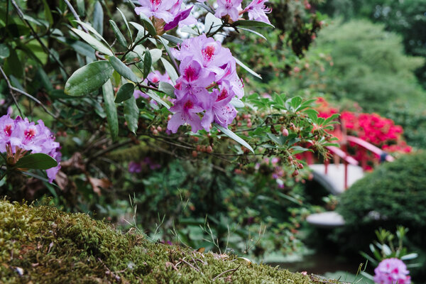 2015.05 Washington Camping