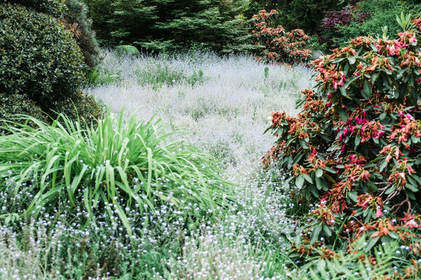 2015.05 Washington Camping