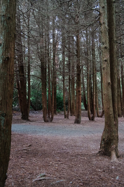 2015.05 Washington Camping