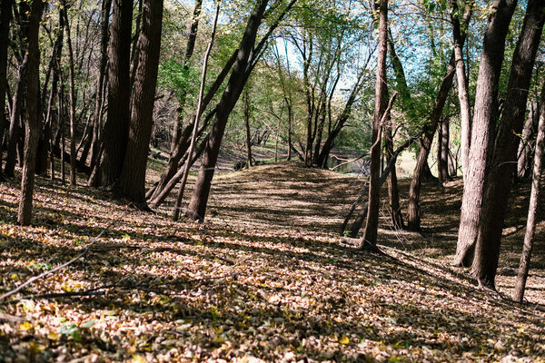 2015.10.17 Twin Cities