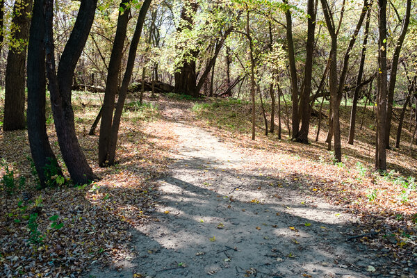 2015.10.17 Twin Cities