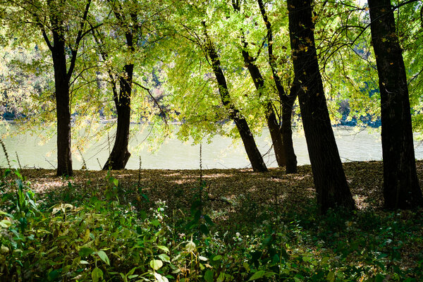 2015.10.17 Twin Cities