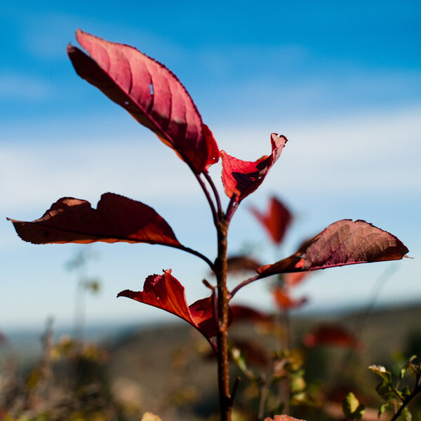 2015.10.25 Deer Creek Canyon