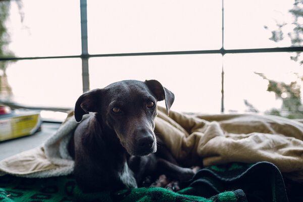 2016.02 Phoenix and Agua Fria Camping