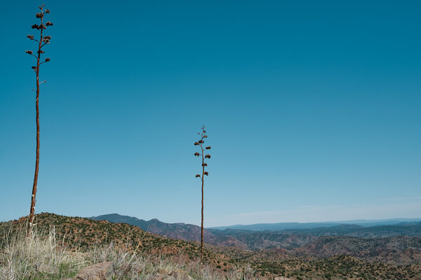 2016.02 Phoenix and Agua Fria Camping