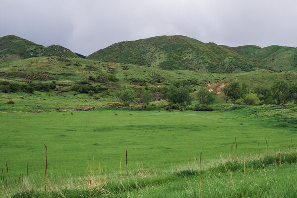 2016.05.29 South Valley Park