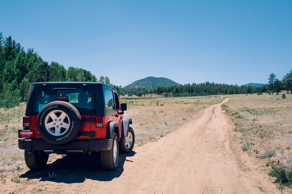 2016.06.18 Pike National Forest