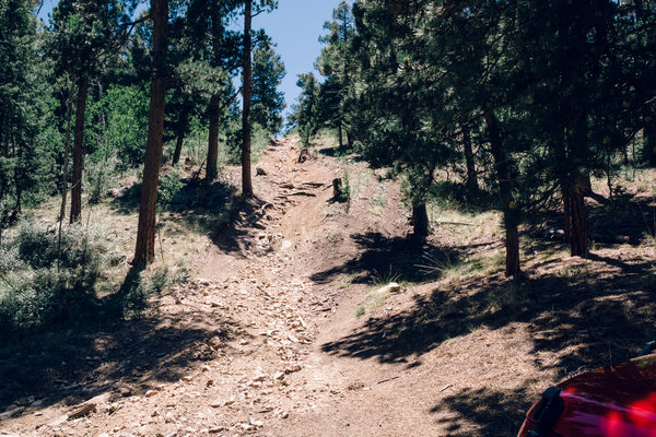 2016.06.18 Pike National Forest