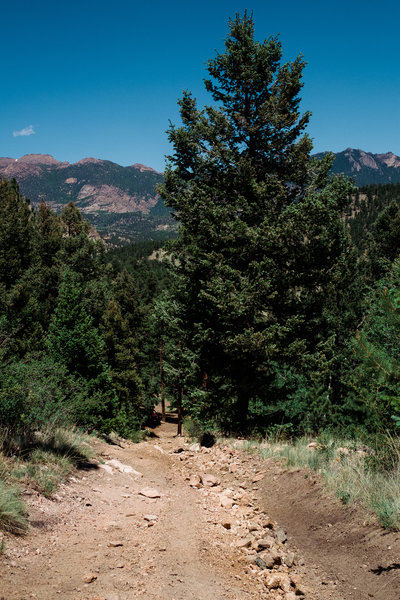 2016.06.18 Pike National Forest