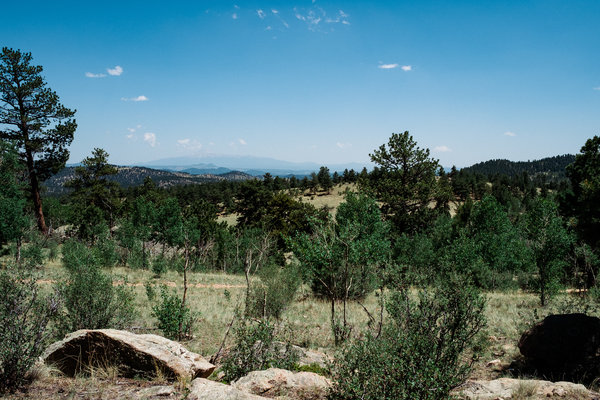 2016.06.18 Pike National Forest