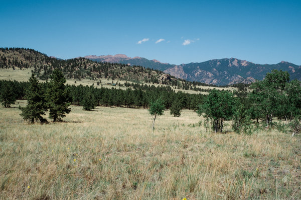 2016.06.18 Pike National Forest