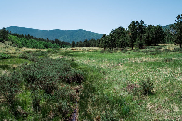 2016.06.18 Pike National Forest