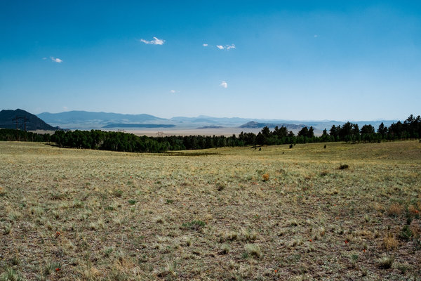2016.06.18 Pike National Forest