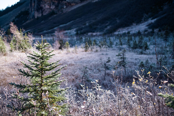 2016.10.03 Banff Lake Louise and Moraine Lake