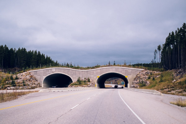 2016.10.06 Banff Icefields Parkway