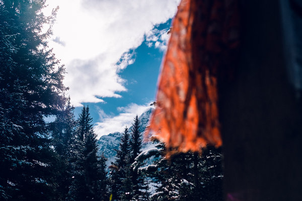 2016.10.06 Banff Icefields Parkway