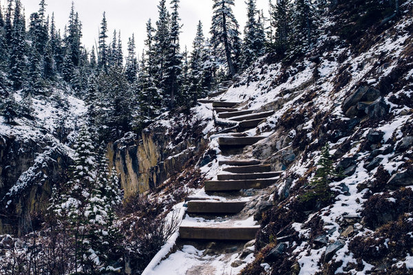 2016.10.06 Banff Icefields Parkway