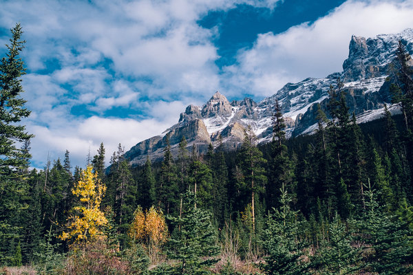 2016.10.06 Banff Icefields Parkway