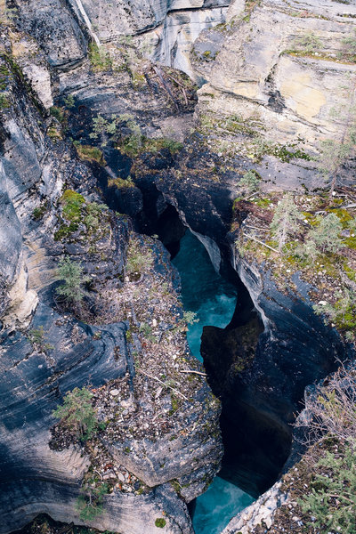 2016.10.06 Banff Icefields Parkway