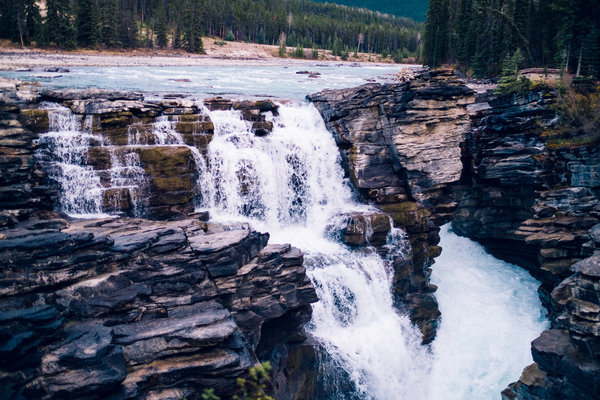 2016.10.06 Banff Icefields Parkway
