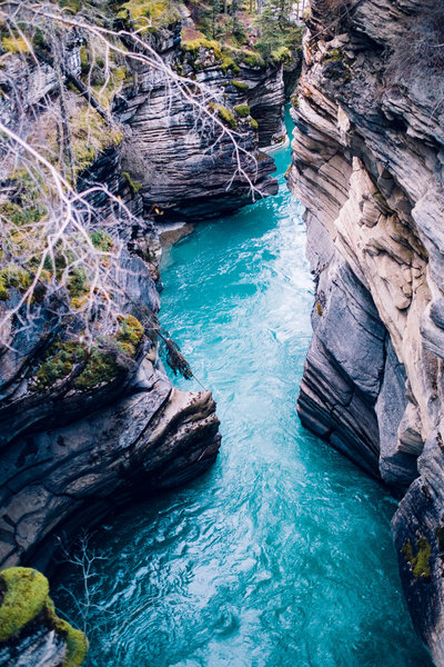 2016.10.06 Banff Icefields Parkway