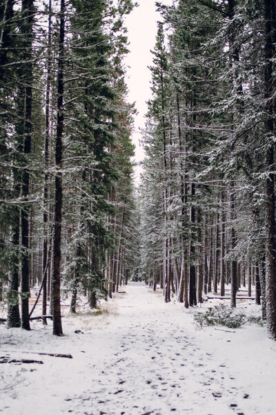 2016.10.07 Banff Snow Day