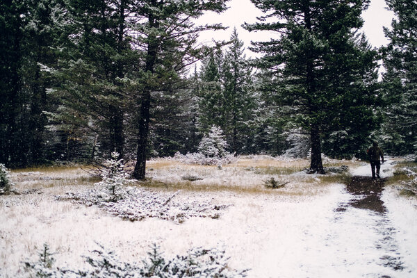 2016.10.07 Banff Snow Day