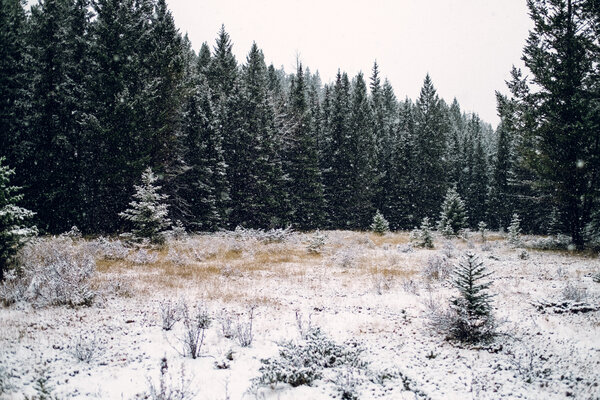 2016.10.07 Banff Snow Day