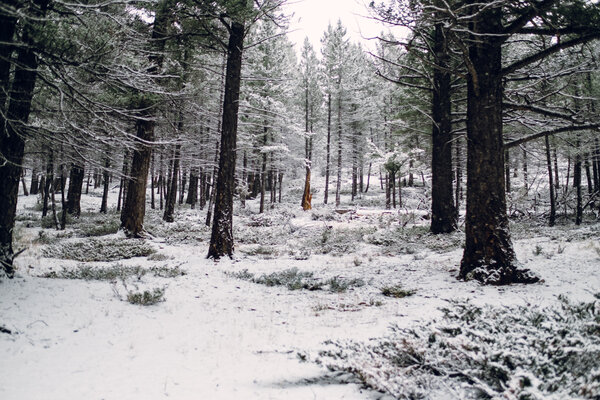 2016.10.07 Banff Snow Day