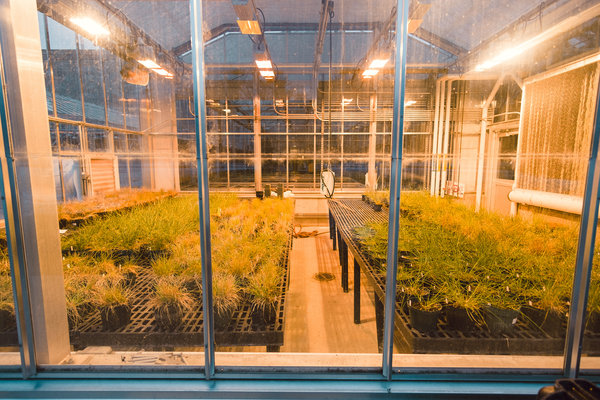 2016.12.24 Iowa State