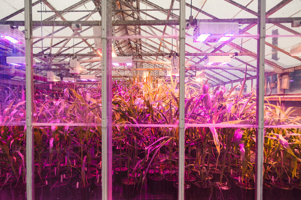 2016.12.24 Iowa State