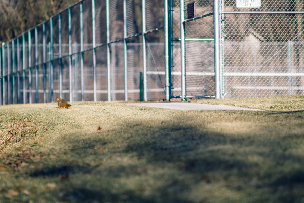 2016.12.27 Brookside Park